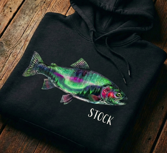 Aurora Rainbow Hoodie